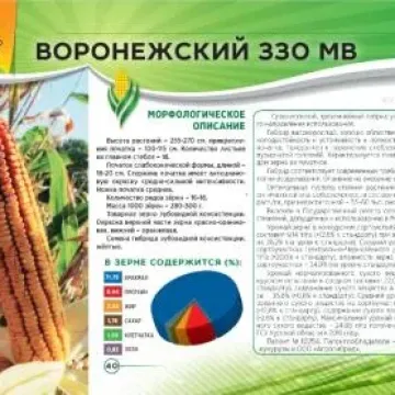 Стожар 330 МВ