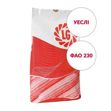 Весли