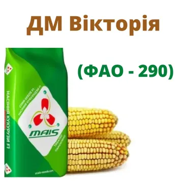 Виктория МВ