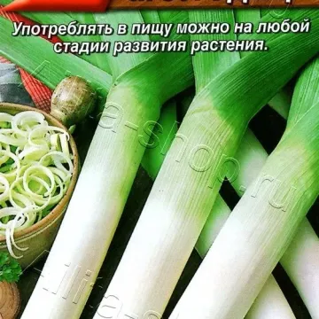 Добрый Молодец
