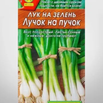 Дуэт