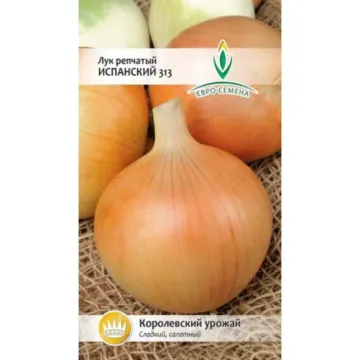 ИСПАНСКИЙ 313