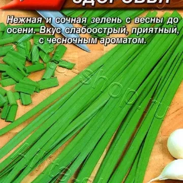 Кладезь Здоровья