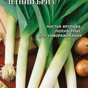Летний Бриз