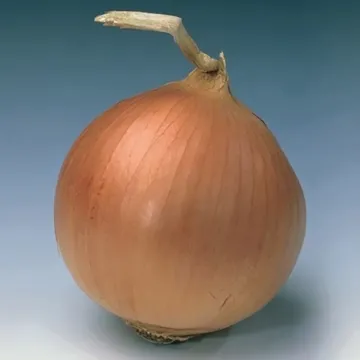Пикколо