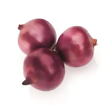Р 4593