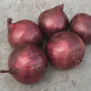 РЕД РАМ