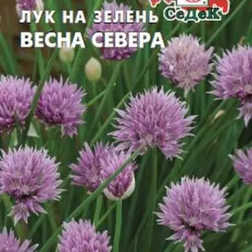 Весна Півночі