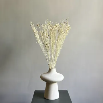 Пересвет