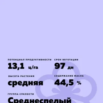 Серпент