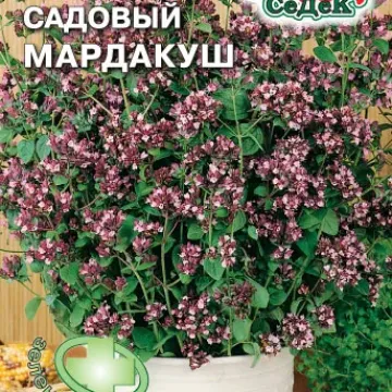 Мардакуш