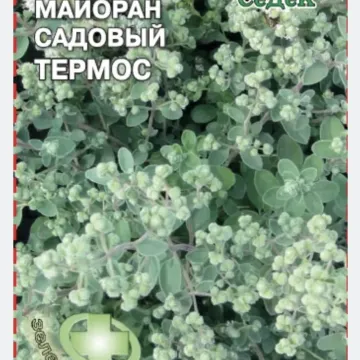 Термос