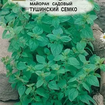 Тушинский Семко