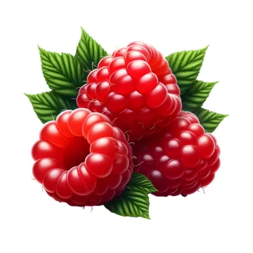 Альянс