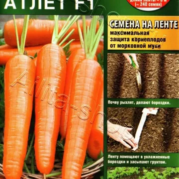 Atlet