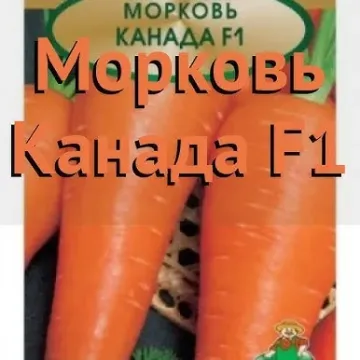 Купало F1