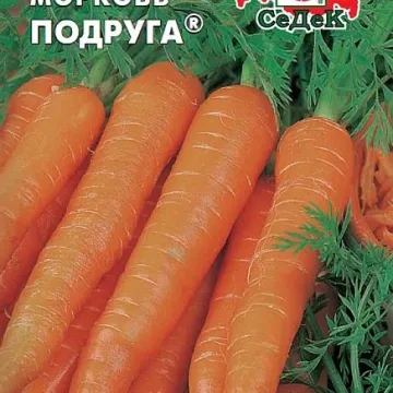 Подруга