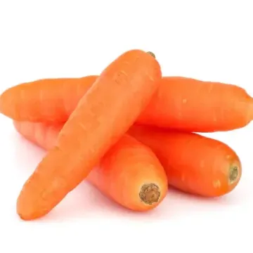 Холідей