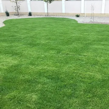 Данга