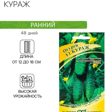 Альтаир