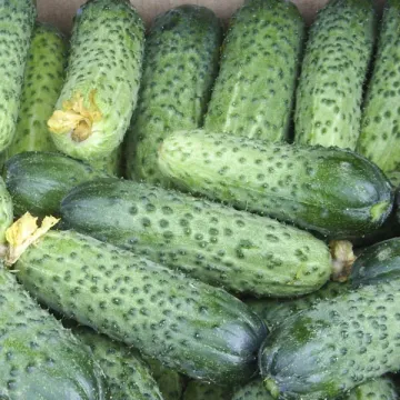 Аваланж