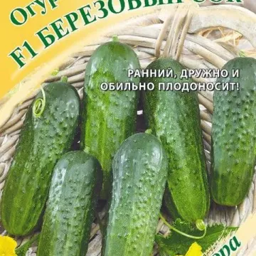 Березовий СІК