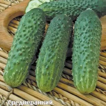Бетховен