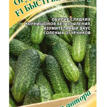 Быстрый Старт
