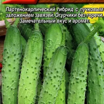 Дядя Степа