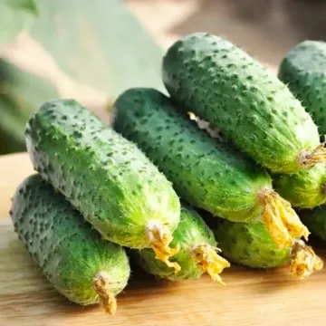 Елизавета