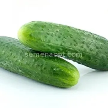 Євгенія
