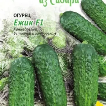 Ёжик