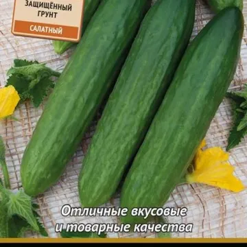 Форвард