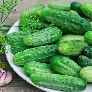 Французский Размер