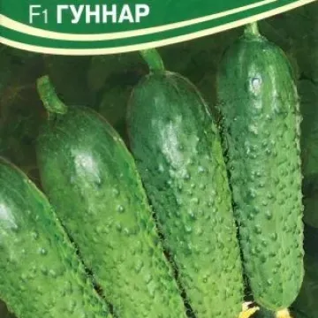 Гунеш F1