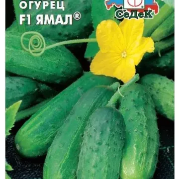 Ямал