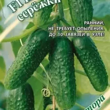 Изумрудные Сережки