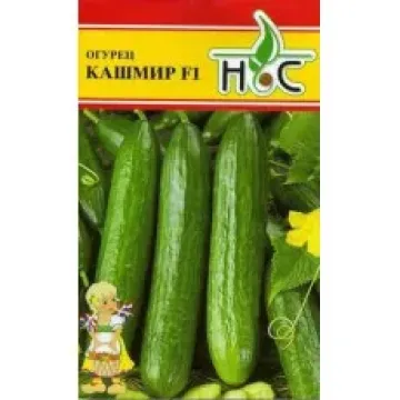 Кашмір