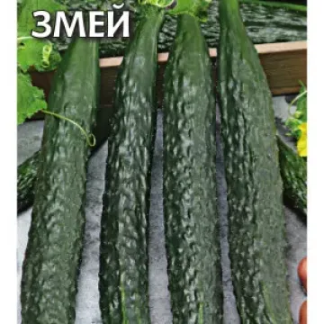 Китайский Змей