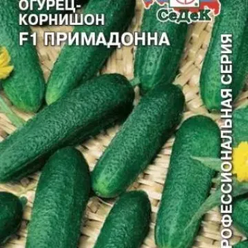 Корнішон Підмосковний