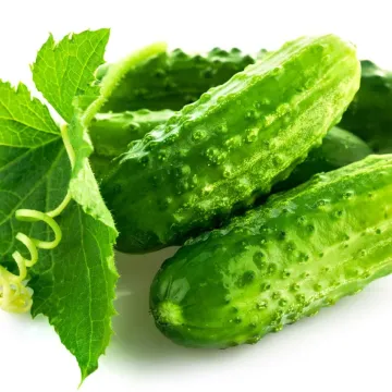 Кустовой