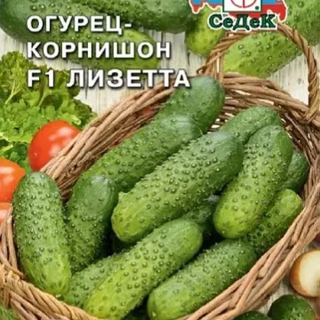 Лизетта