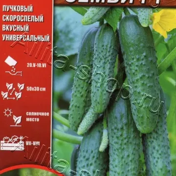 Улюбленець Родини