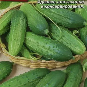 Митяй
