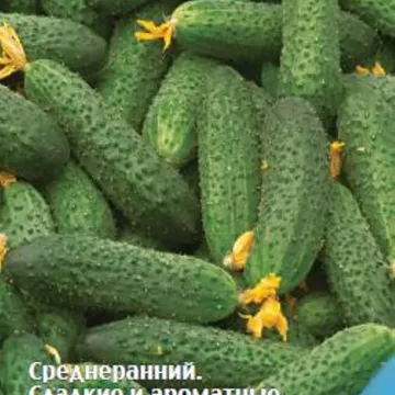 МОЯ Симпатія