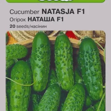 Наташа F1