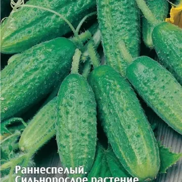 Огородник