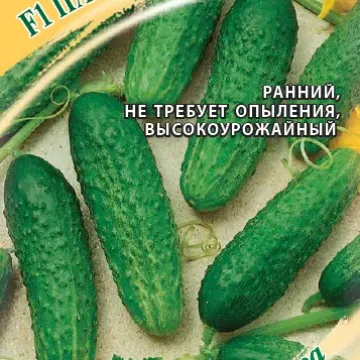 Папенькина Дочка