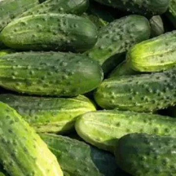ПА́РУС