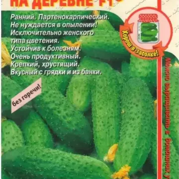 Первый Парень